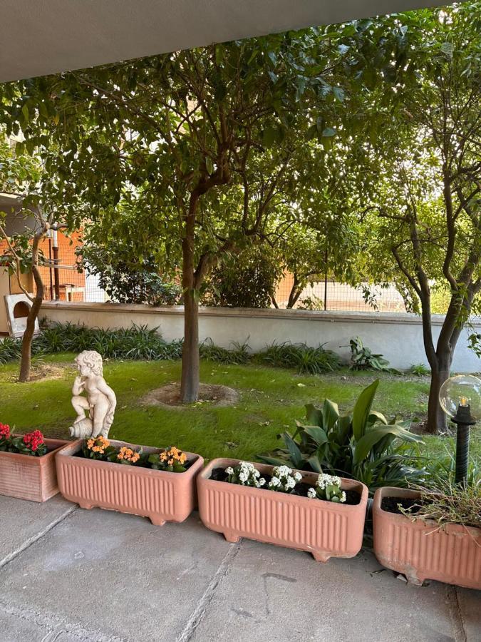 Ajoaolbia B&B Extérieur photo